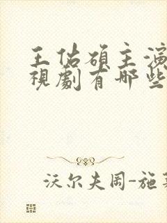 王佑硕主演的电视剧有哪些