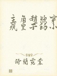 主角赵煦穿越成疯皇子的小说