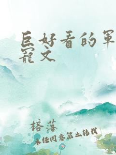 巨好看的军旅甜宠文
