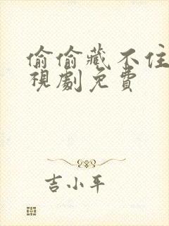 偷偷藏不住的电视剧免费