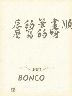 辰的笔画顺序怎么写的呀