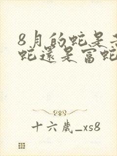 8月的蛇是苦命蛇还是富蛇