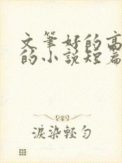 文笔好的高质量的小说短篇言情