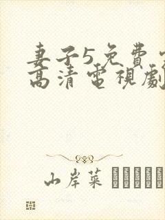 妻子5免费完整高清电视剧在线看韩剧