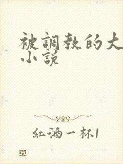 被调教的大小姐小说