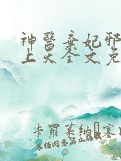 神医弃妃邪王宠上天全文免费阅读