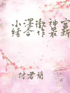 小泽彻神宫寺奈绪合作最新作品