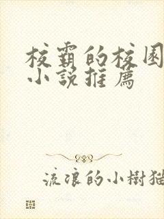 校霸的校园甜宠小说推荐