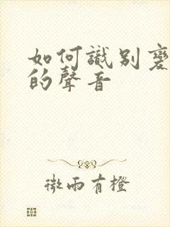 如何识别变声器的声音