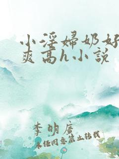 小淫妇奶好大好爽高h小说