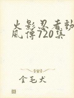 火影忍者动漫疾风传720集