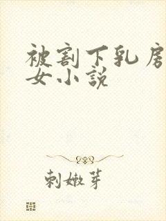 被割下乳房的侠女小说