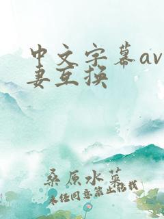 中文字幕av人妻互换