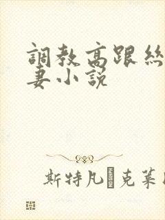 调教高跟丝袜人妻小说