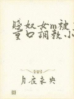 贱奴女m被主人重口调教小说