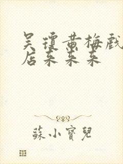 吴琼黄梅戏小辞店来来来