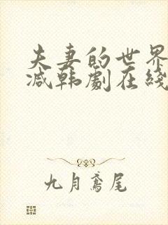 夫妻的世界无删减韩剧在线观看