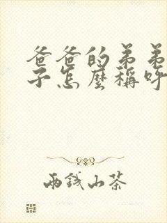 爸爸的弟弟的妻子怎么称呼