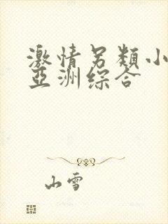 激情另类小说区亚洲综合