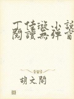 丁佳璇小说全文阅读无弹窗笔趣阁