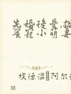 先婚后爱,总裁蜜宠小萌妻