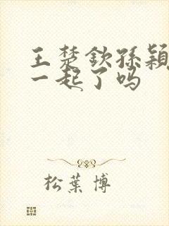 王楚钦孙颖莎在一起了吗