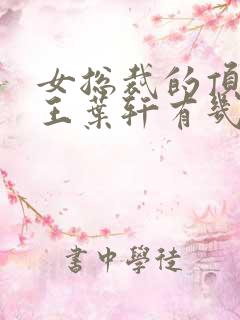 女总裁的顶级兵王叶轩有几个女人