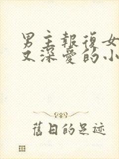 男主报复女主却又深爱的小说