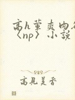高h荤爽肉欲文〈np〉小说