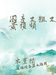 国产又粗又爽的黄视频