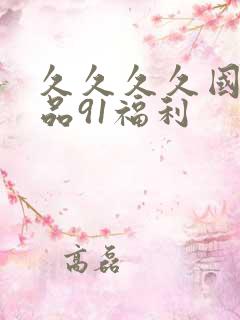 久久久久国产精品91福利