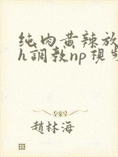 纯肉黄辣放荡高h调教np视频