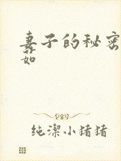 妻子的秘密林雅茹