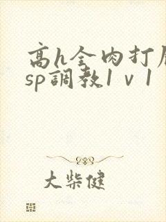 高h全肉打屁股sp调教1ⅴ1