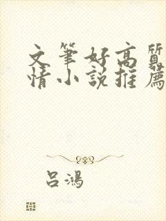 文笔好高质量言情小说推荐