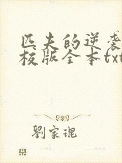 匹夫的逆袭 精校版全本txt