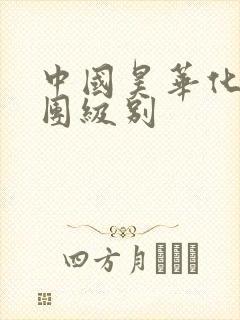 中国昊华化工集团级别