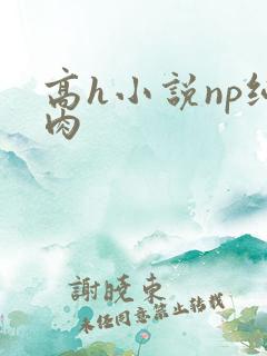 高h小说np纯肉
