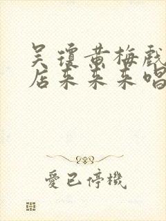 吴琼黄梅戏小辞店来来来唱段