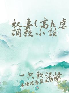 奴妻(高h虐身调教小说