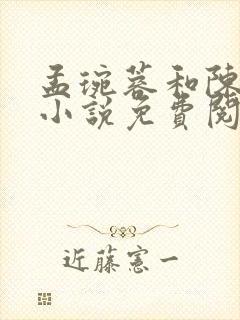 孟琬蓉和陈阳的小说免费阅读