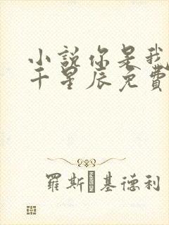 小说你是我的万千星辰免费阅读