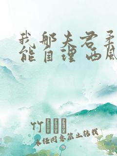 我那夫君柔弱不能自理 西风锦