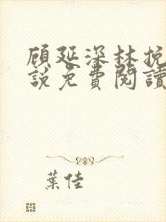 顾延深林挽音小说免费阅读最新章节