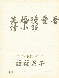 先婚后爱晋江言情小说