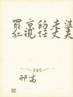 罗京的老婆刘继红现任丈夫是?