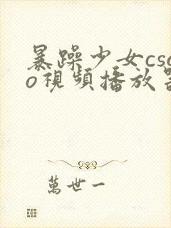 暴躁少女csgo视频播放器推荐