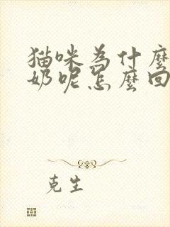 猫咪为什么要踩奶呢怎么回事