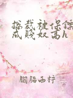 总裁被保镖调教成贱奴高h