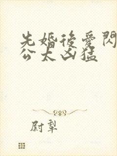 先婚后爱闪婚老公太凶猛